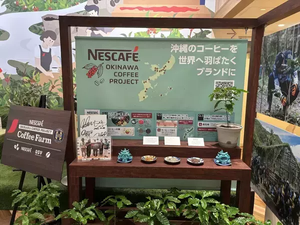 「希少な沖縄産のコーヒーに魅せられる！ネスカフェ 原宿で貴重なコーヒー焙煎体験に挑戦」の画像