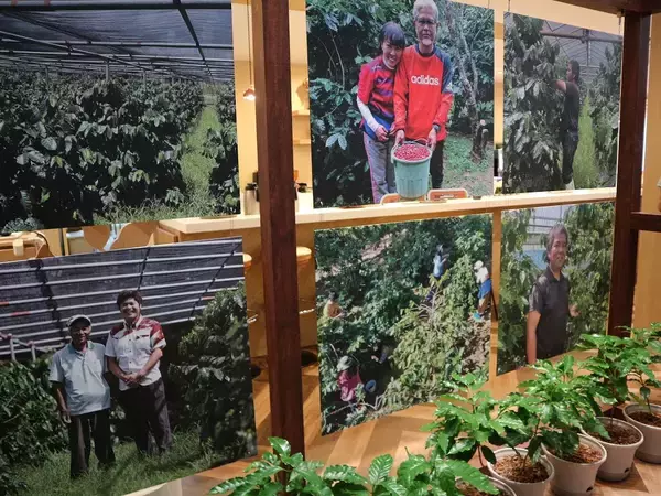 「希少な沖縄産のコーヒーに魅せられる！ネスカフェ 原宿で貴重なコーヒー焙煎体験に挑戦」の画像