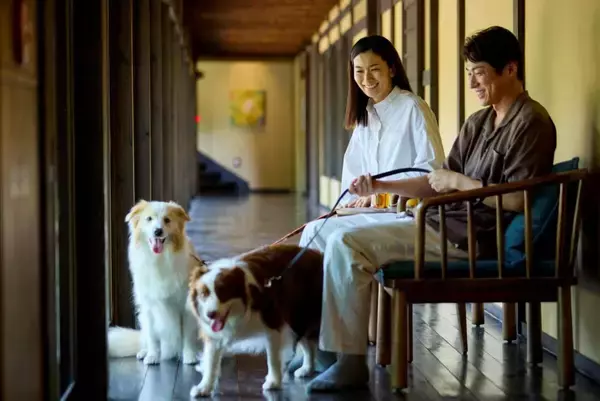 【愛犬と泊まれる古民家リトリート赤城山 - 懐 - 】 2頭まで宿泊料無料＆ごはん1食プレゼント！「開業1周年プラン」登場｜群馬県