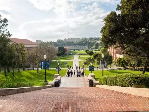 「今からでも入りたい！と思わせる、アメリカの美しい大学キャンパス６選」の画像