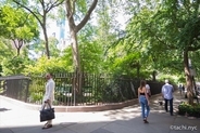 【NY】鍵を持つニューヨーカーだけが入れる公園「グラマシーパーク」