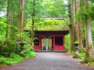 【日帰り一人旅も】行くだけでパワーアップできる、長野・戸隠神社五社めぐり