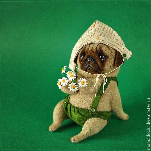 うるうるおめめで見つめられたい！ロシア生まれの可愛いぬいぐるみ