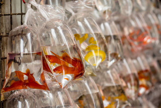 香港で狙う！最新インスタ映えスポット７選〜シェアしたくなる観光名所〜