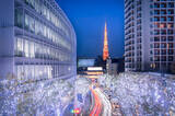 「【東京】仕事帰りに気軽に行ける、都内のおすすめイルミネーション７選」の画像14