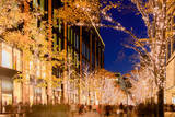 「【東京】仕事帰りに気軽に行ける、都内のおすすめイルミネーション７選」の画像2