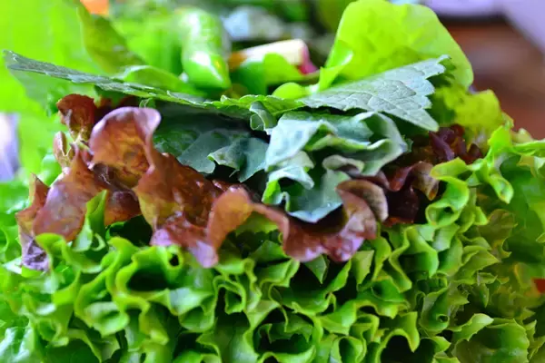 「15種類の野菜で包むヘルシー焼肉！行列しても食べたい新大久保「くるむ」」の画像