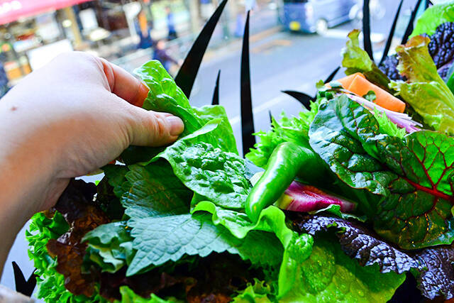 15種類の野菜で包むヘルシー焼肉！行列しても食べたい新大久保「くるむ」