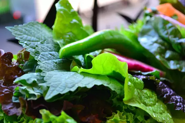 「15種類の野菜で包むヘルシー焼肉！行列しても食べたい新大久保「くるむ」」の画像