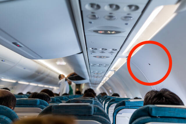 マニアの間で人気！？三角マークがついている飛行機の座席の意味とは？