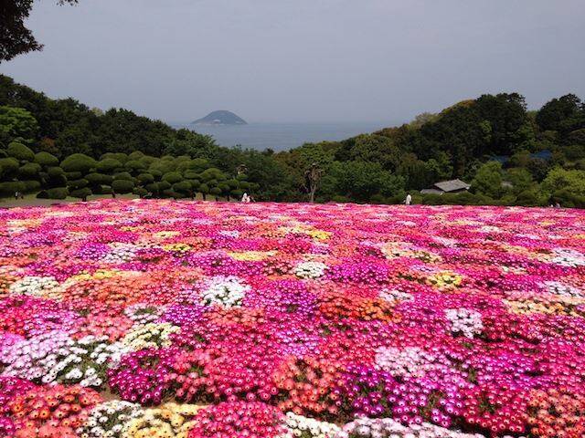 海沿いの花畑が美しい癒しの島 福岡から気軽に行ける 能古島 18年5月31日 エキサイトニュース