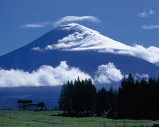 富士山の頂上は何県？国有地なの？【あなたの知らない富士山トリビア】