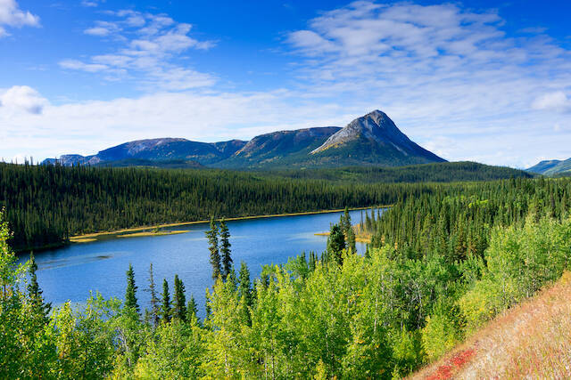 世界中からやってきた人が標識をとりつけ今も増え続ける、カナダ「標識の森」