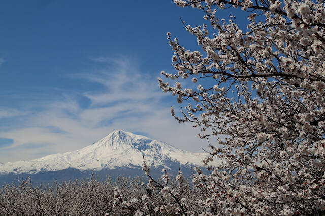 世界で見つけた「富士山」に似ている山８選【あなたの知らない富士山トリビア】