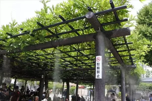 「【現地ルポ】外国人観光客に大人気の浅草寺、魅力再発見」の画像