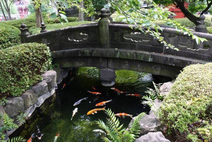 【現地ルポ】外国人観光客に大人気の浅草寺、魅力再発見