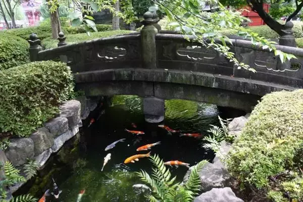 「【現地ルポ】外国人観光客に大人気の浅草寺、魅力再発見」の画像