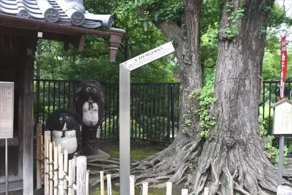 「【現地ルポ】外国人観光客に大人気の浅草寺、魅力再発見」の画像