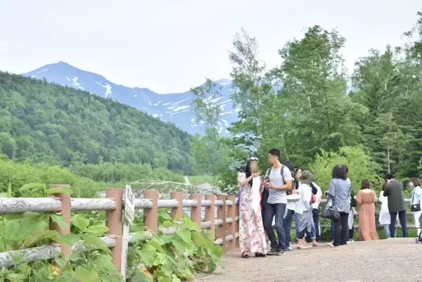 「一躍世界的な観光地に！【北海道の美瑛】白金青い池はお手軽な観光スポット」の画像