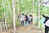 「一躍世界的な観光地に！【北海道の美瑛】白金青い池はお手軽な観光スポット」の画像5