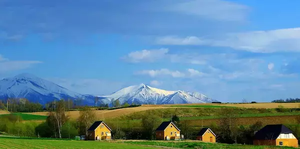 「一躍世界的な観光地に！【北海道の美瑛】白金青い池はお手軽な観光スポット」の画像