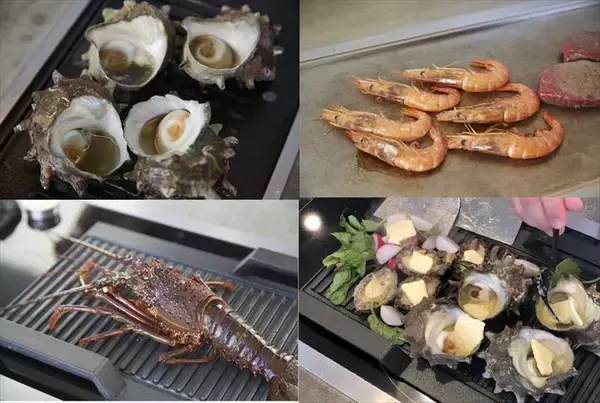 「新しいグランピングスタイルを南房総で。オーシャンビュー＆一流キッチン機器が揃う施設が登場」の画像