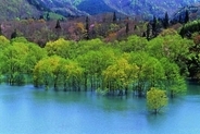 【世界遺産】白神山地の十二湖、ミステリアスブルーの青池