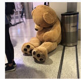 「アメリカの空港で没収された、驚きのあんなもの・こんなものはこれだ！」の画像14