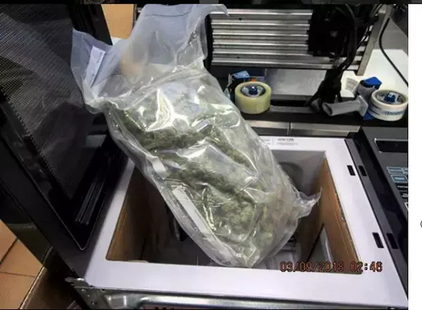 「アメリカの空港で没収された、驚きのあんなもの・こんなものはこれだ！」の画像