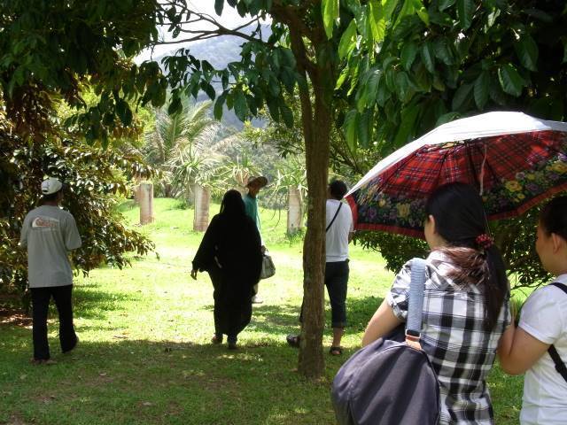 女子旅にもおすすめ。なんでもありな感じが面白いペナン島【旅行記】