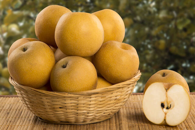 秋のフルーツ「梨」狩りを２倍楽しむための、知っておきたい豆知識