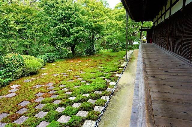 モダンな市松模様がsnsで話題 東福寺 本坊庭園 フォトジェニックな京都 18年10月7日 エキサイトニュース 2 4