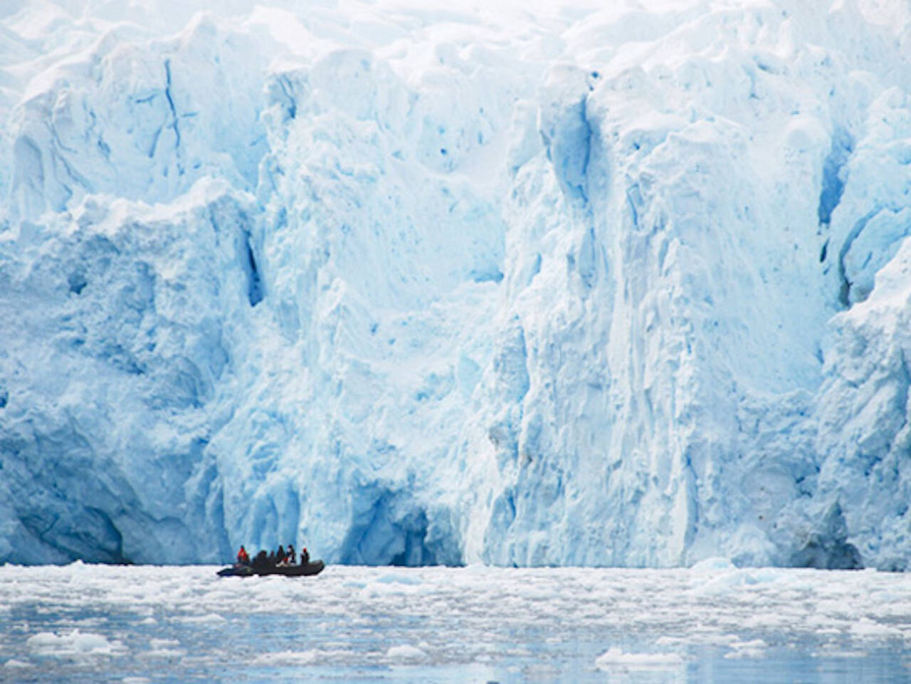 一度は観たい！究極の自然旅行へ。南極観光ツアーとその見どころ