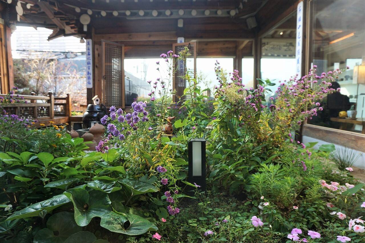 【ソウル】北村の韓屋カフェ「チャマシヌントゥル」でほっこり伝統茶体験