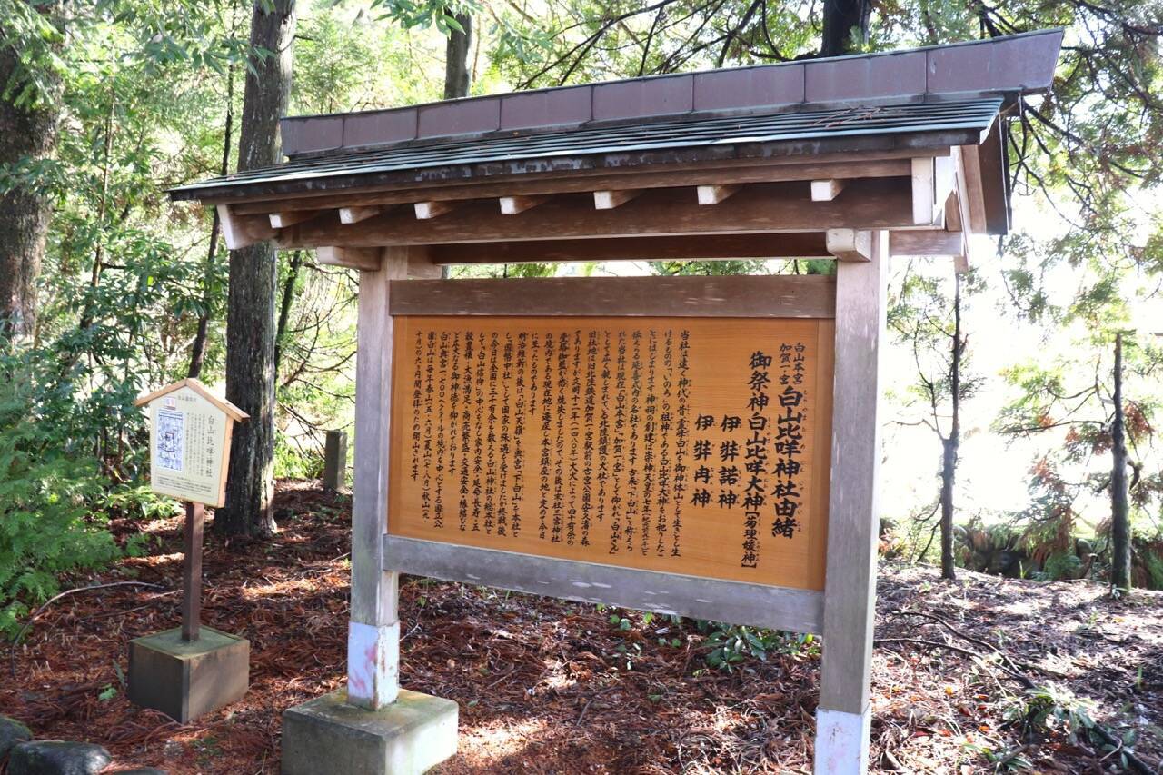 【あらゆる良縁を結ぶ】北陸のパワースポット「白山比咩神社」に行ってきた