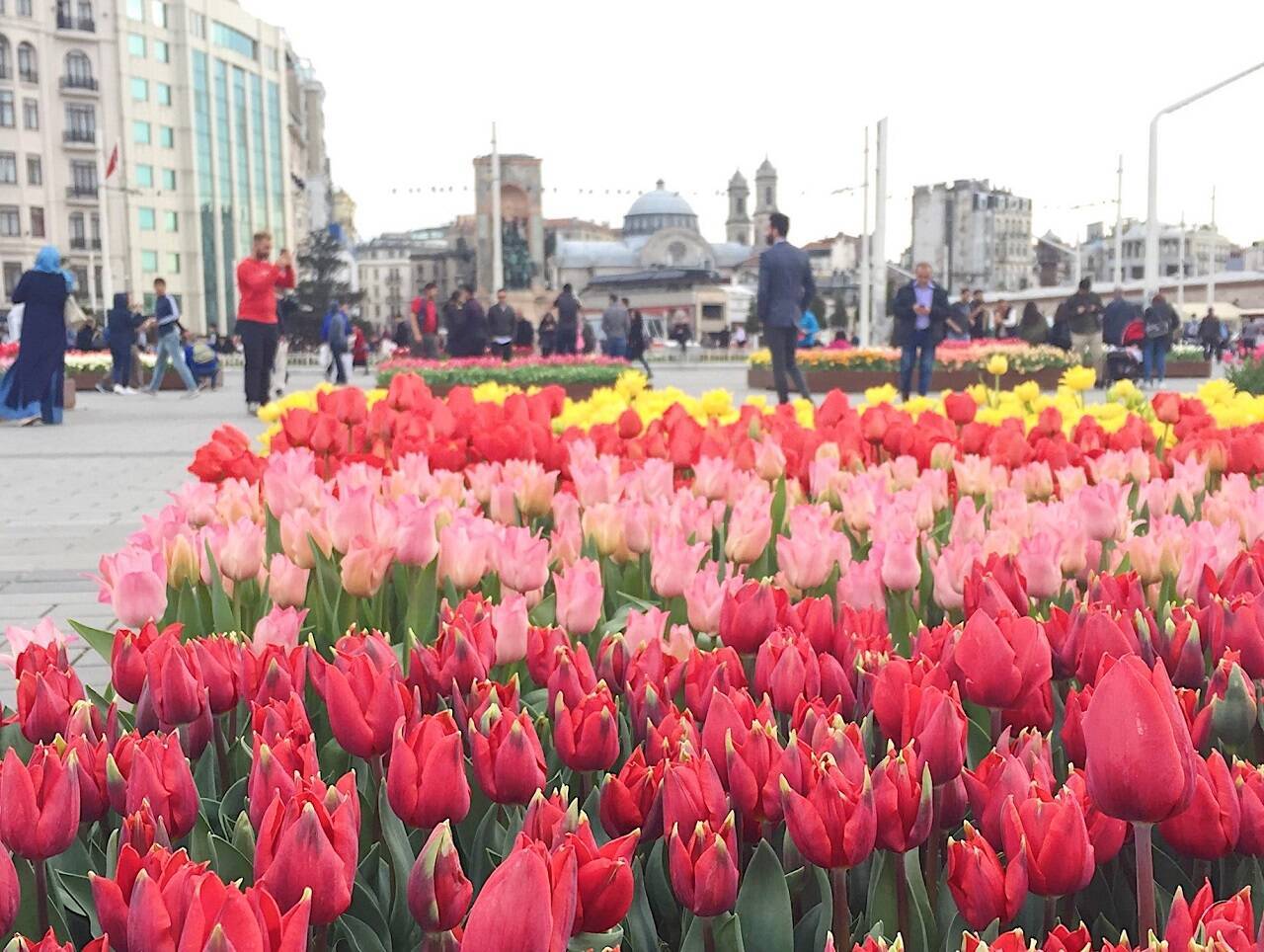 春のトルコ！チューリップ満開のイスタンブールで訪れたいスポット４選