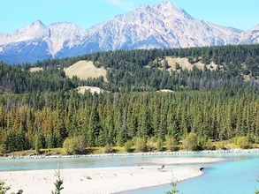 カナディアン・ロッキー星空がきれいに見える場所４選【ジャスパー編】