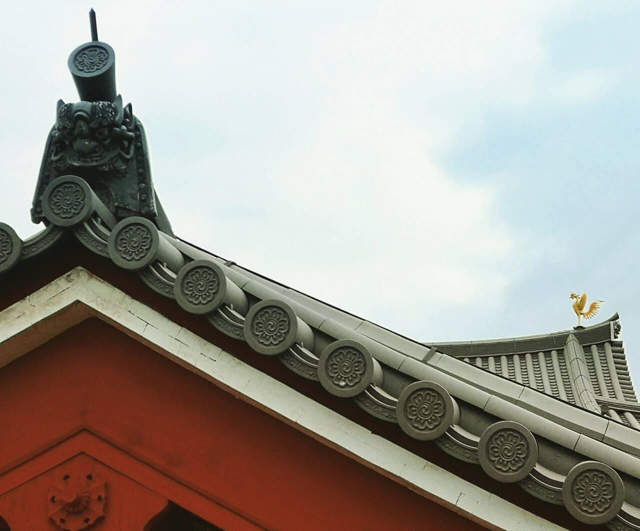 夕焼けに映える桜、西方浄土ここにあり。京都『平等院鳳凰堂』