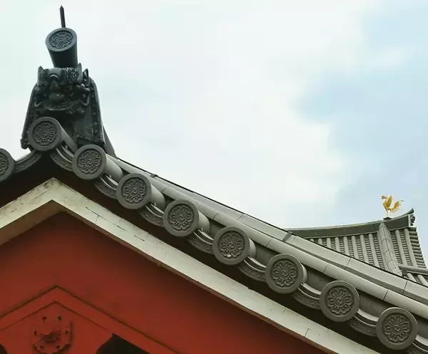 「夕焼けに映える桜、西方浄土ここにあり。京都『平等院鳳凰堂』」の画像