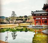 「夕焼けに映える桜、西方浄土ここにあり。京都『平等院鳳凰堂』」の画像9