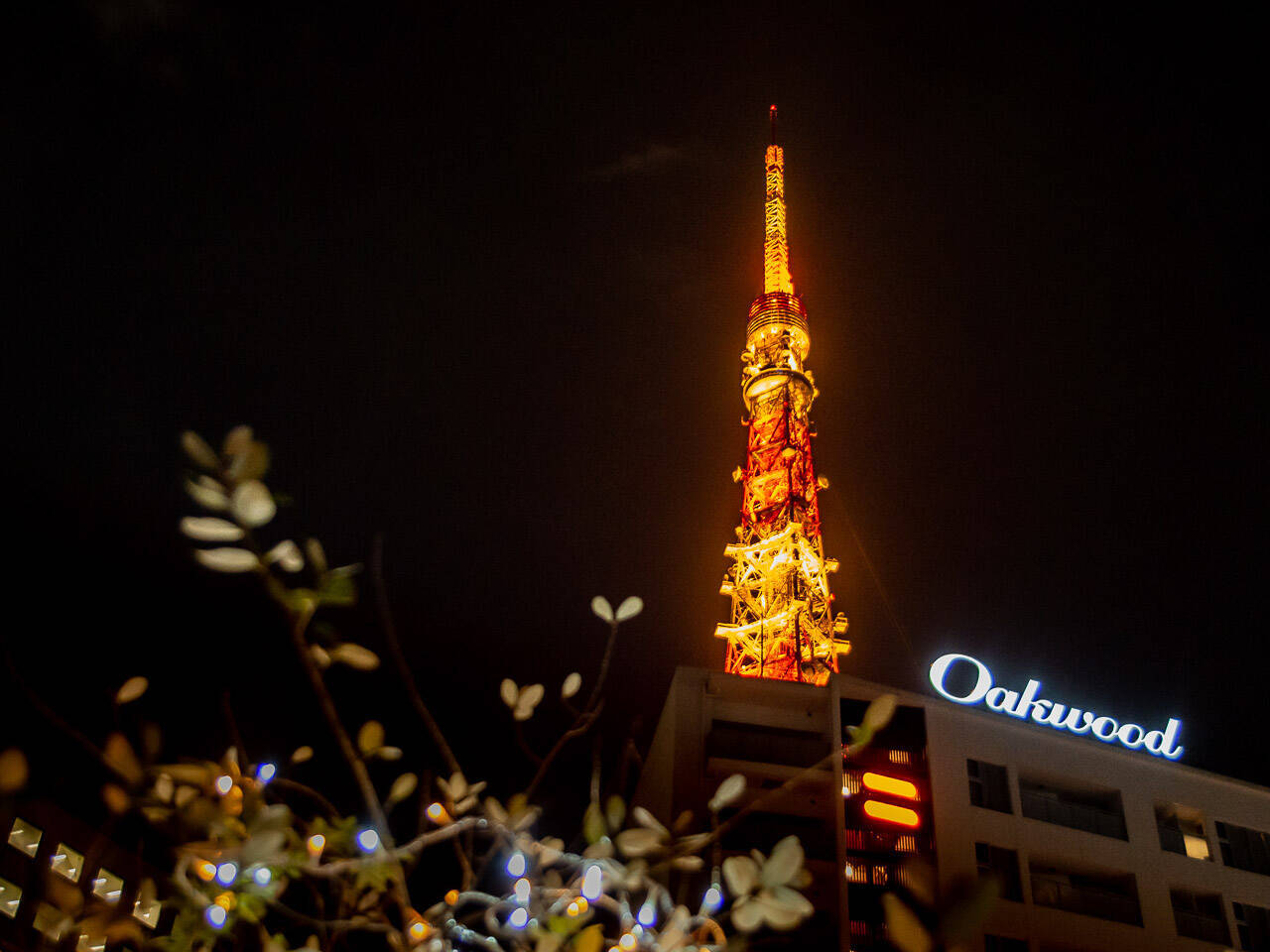 眺め抜群！東京タワーが見える、「特等席」レストラン３選