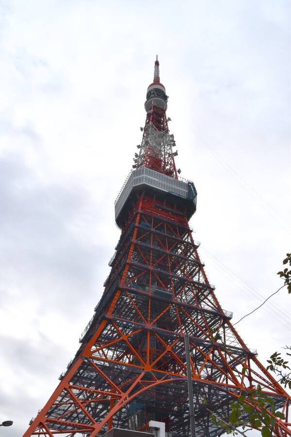 東京タワーのライトアップ夜景 どんなバージョンがあるか知ってる 19年5月8日 エキサイトニュース