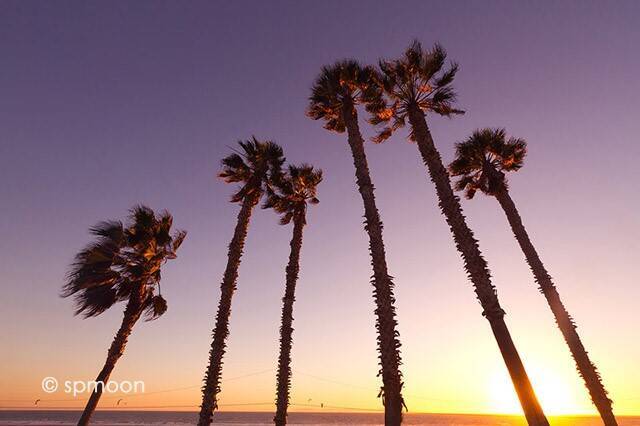 のんびり過ごす休日。カリフォルニア州ハンティントンビーチ