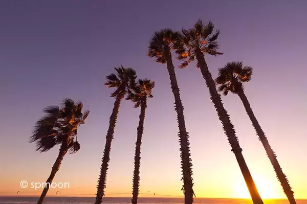 「のんびり過ごす休日。カリフォルニア州ハンティントンビーチ」の画像