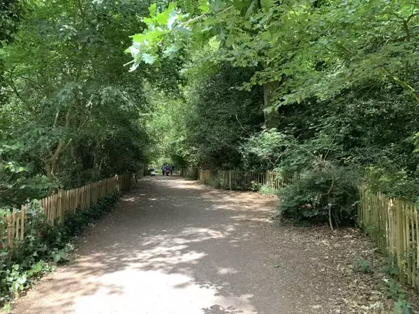 「日本庭園がお気に入り！？放し飼いの孔雀がいる、ロンドン・ホランドパーク【現地ルポ】」の画像