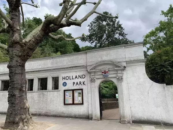 「日本庭園がお気に入り！？放し飼いの孔雀がいる、ロンドン・ホランドパーク【現地ルポ】」の画像