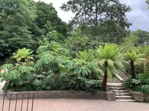 「日本庭園がお気に入り！？放し飼いの孔雀がいる、ロンドン・ホランドパーク【現地ルポ】」の画像