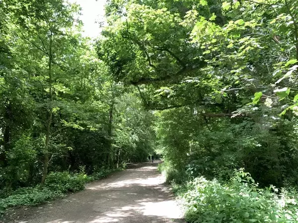 「【現地ルポ】池で泳げるロンドン最大の公園「ハムステッド・ヒース」って？」の画像