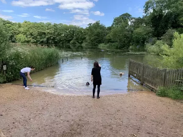 「【現地ルポ】池で泳げるロンドン最大の公園「ハムステッド・ヒース」って？」の画像