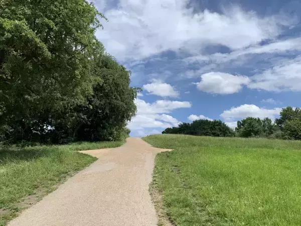 「【現地ルポ】池で泳げるロンドン最大の公園「ハムステッド・ヒース」って？」の画像